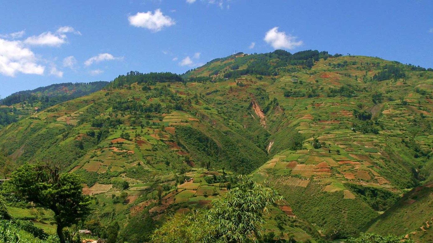Biodiversité en Haïti